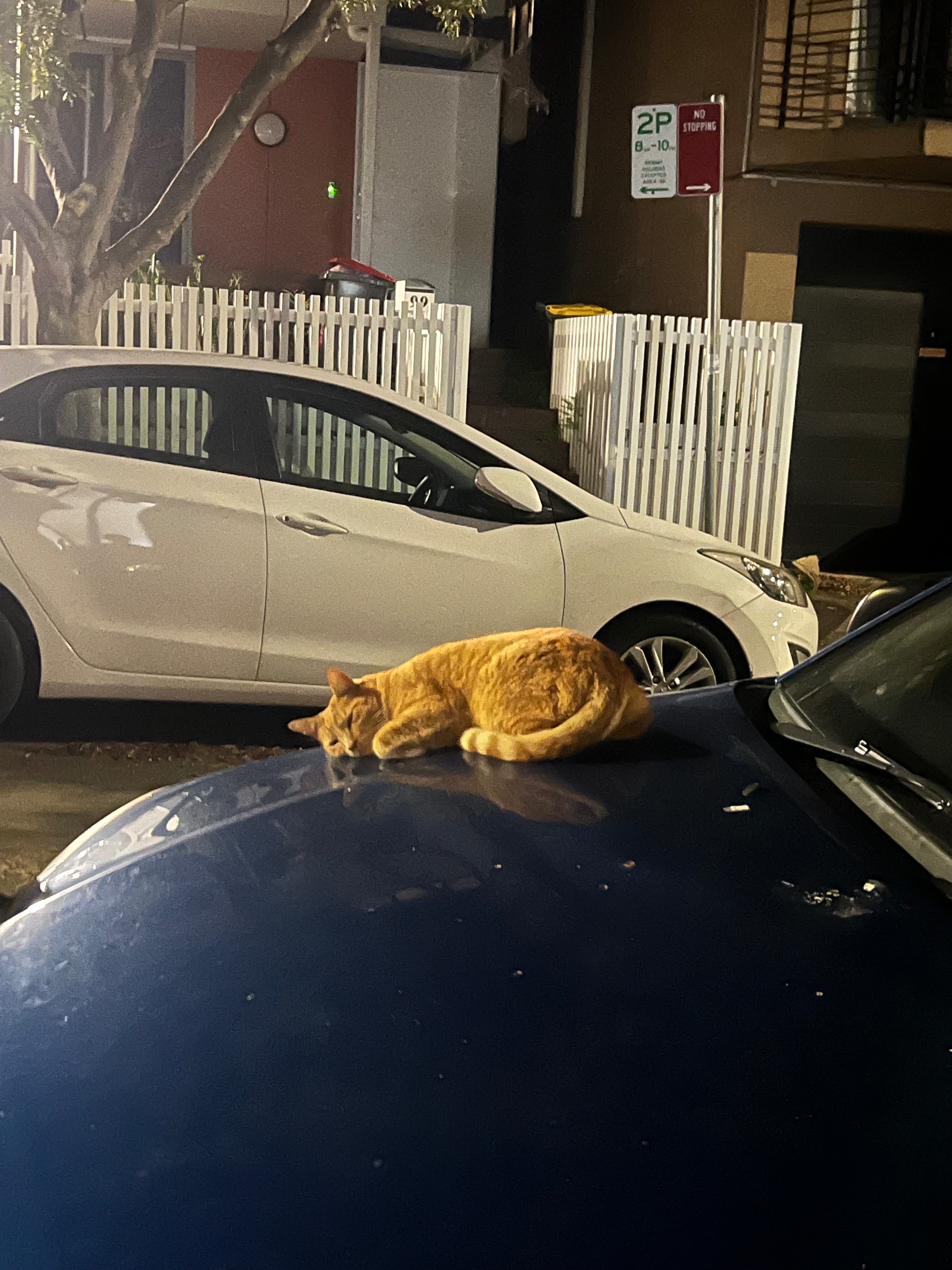 This engine is purring guys